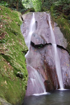 Accessible from the Poring Hot Springs, this waterfall is a great place to cool off. Surrounded by lush tropical rainforest you could not ask for much more serenity than you find here!