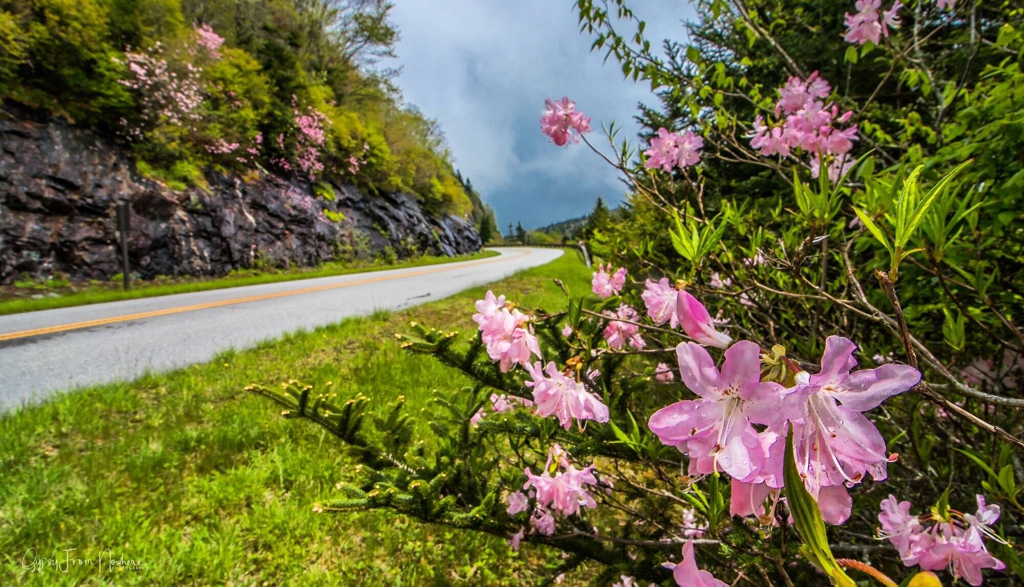 black-mountain-nc-vacation-rentals-cabin-rentals-more-vrbo