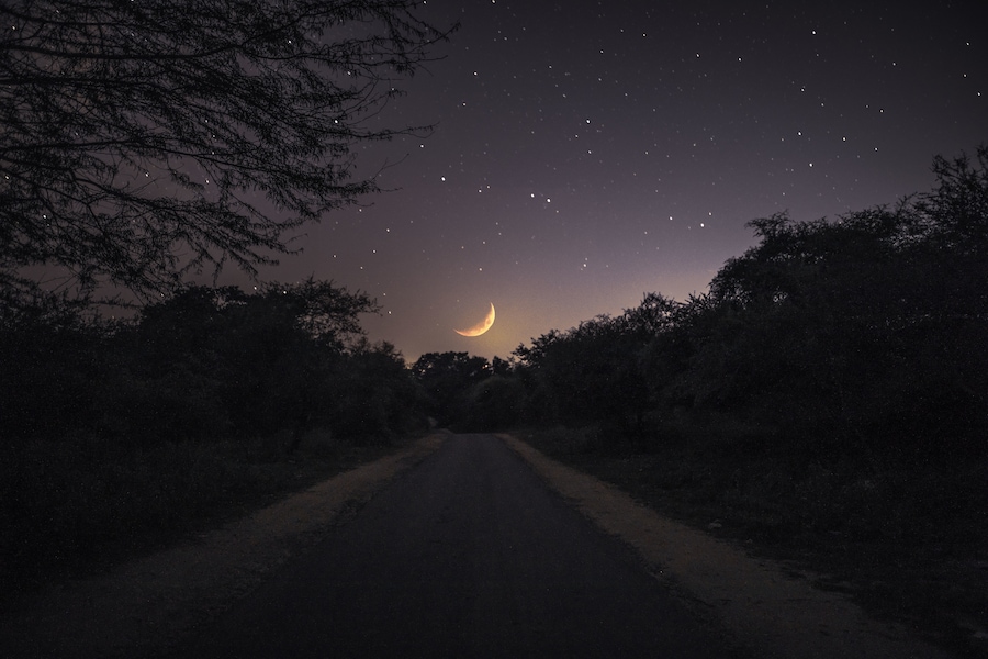 A shot from one of the Night Safari tours by Ranakpur Adventures