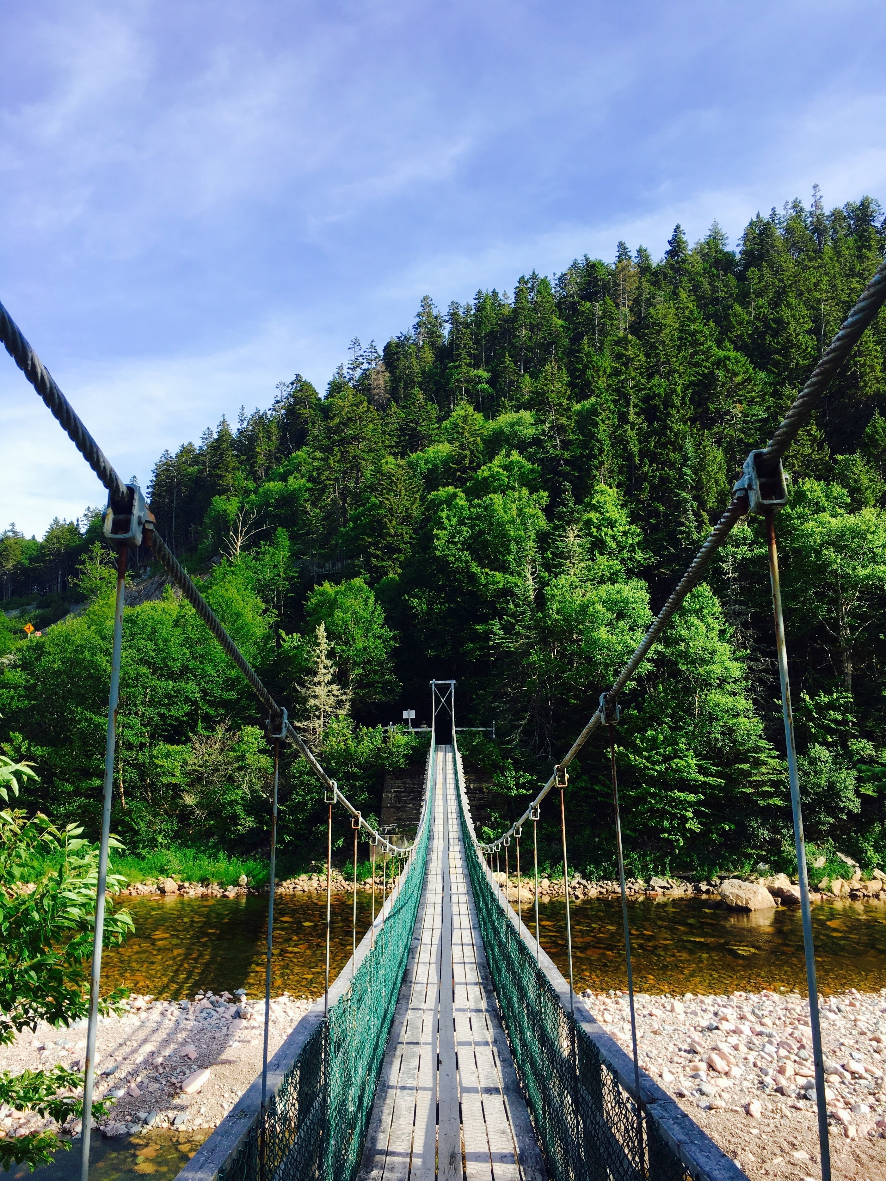 Vista Del Puente Colgante De La Suspensión Del Río Salmón En El