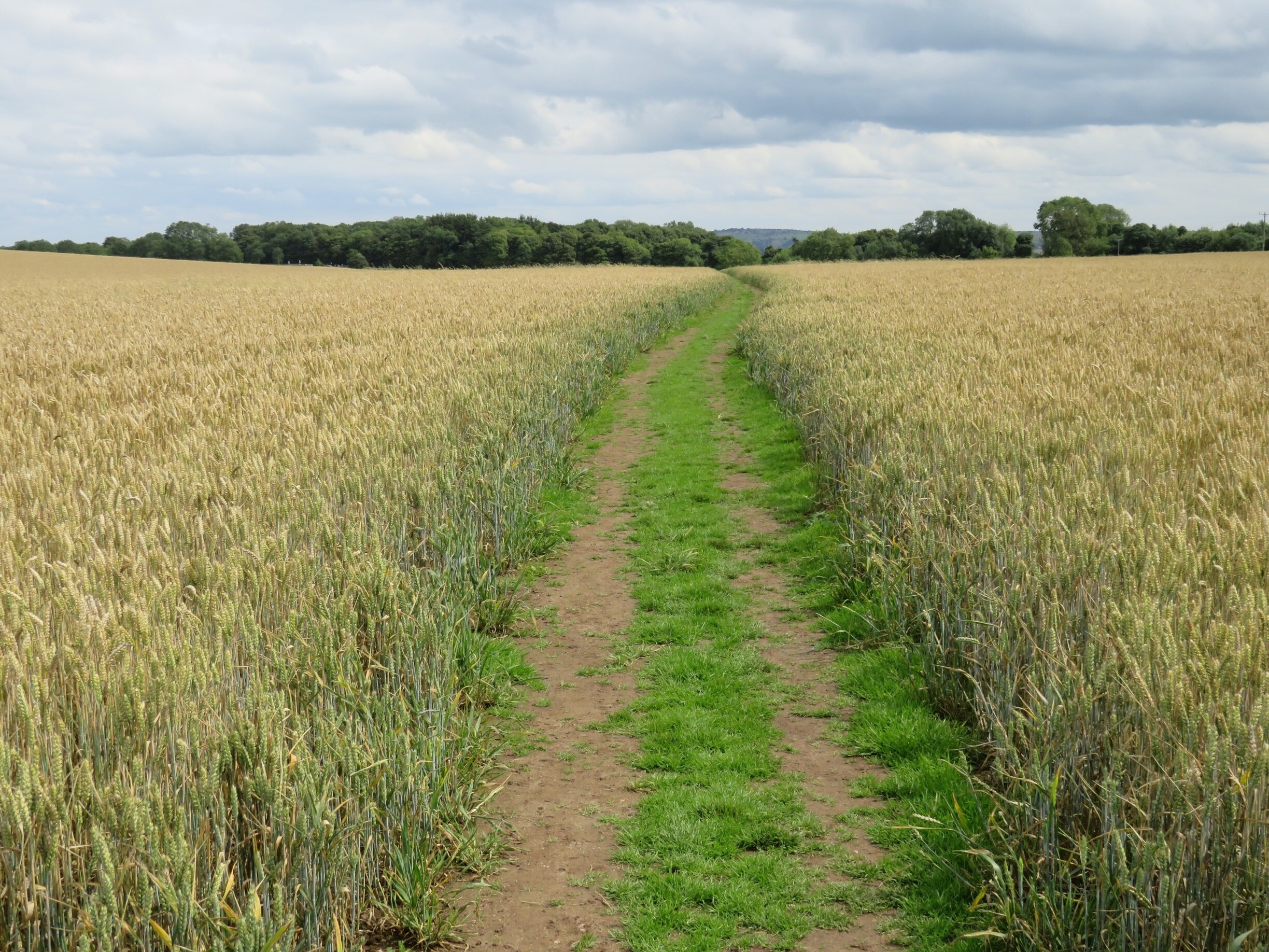 Foto de Martin Gerrish