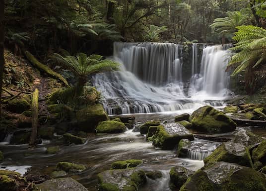 Mount Field, Tasmanien, Australien