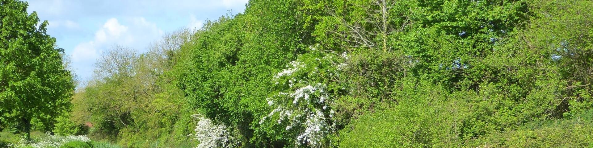 Tow path that runs alongside the Canal and offers superb views of the glorious Devon countryside and wildlife.