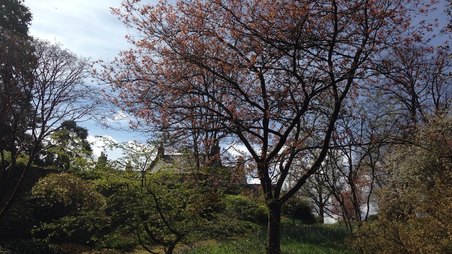 Geilston Garden