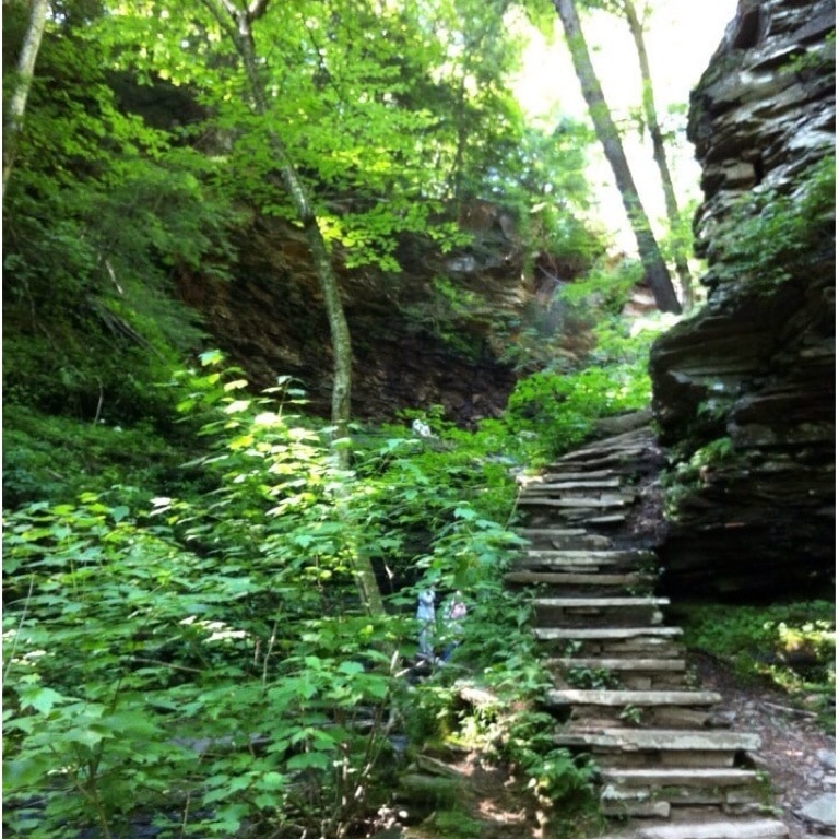 Top 20 Ricketts Glen State Park, Sweet Valley cabin rentals Vrbo