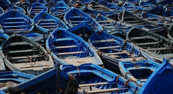 Blue Boats