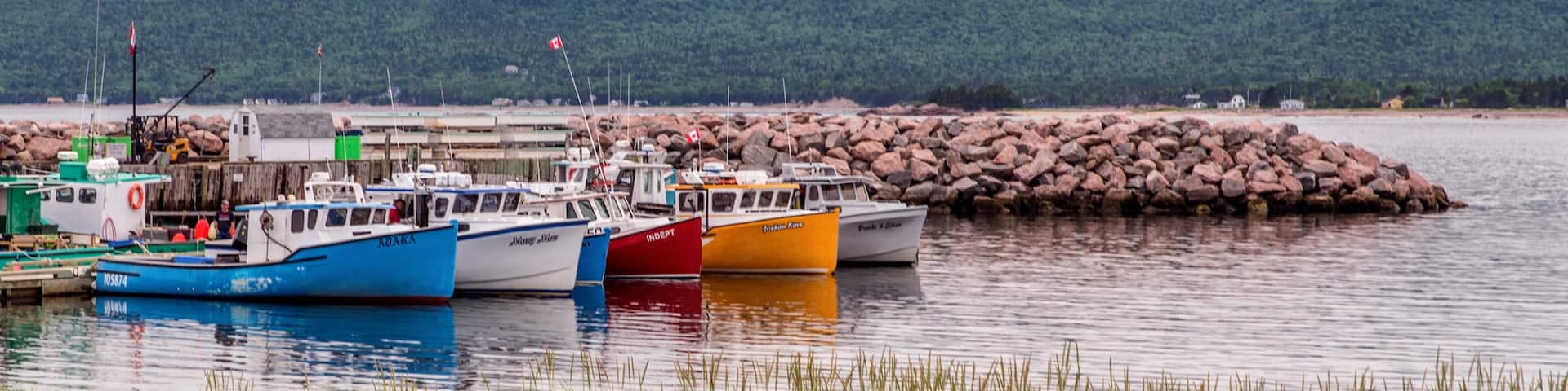 Cape Breton Highlands National Park, Cape Breton Highlands National Park, Nova Scotia, Canada