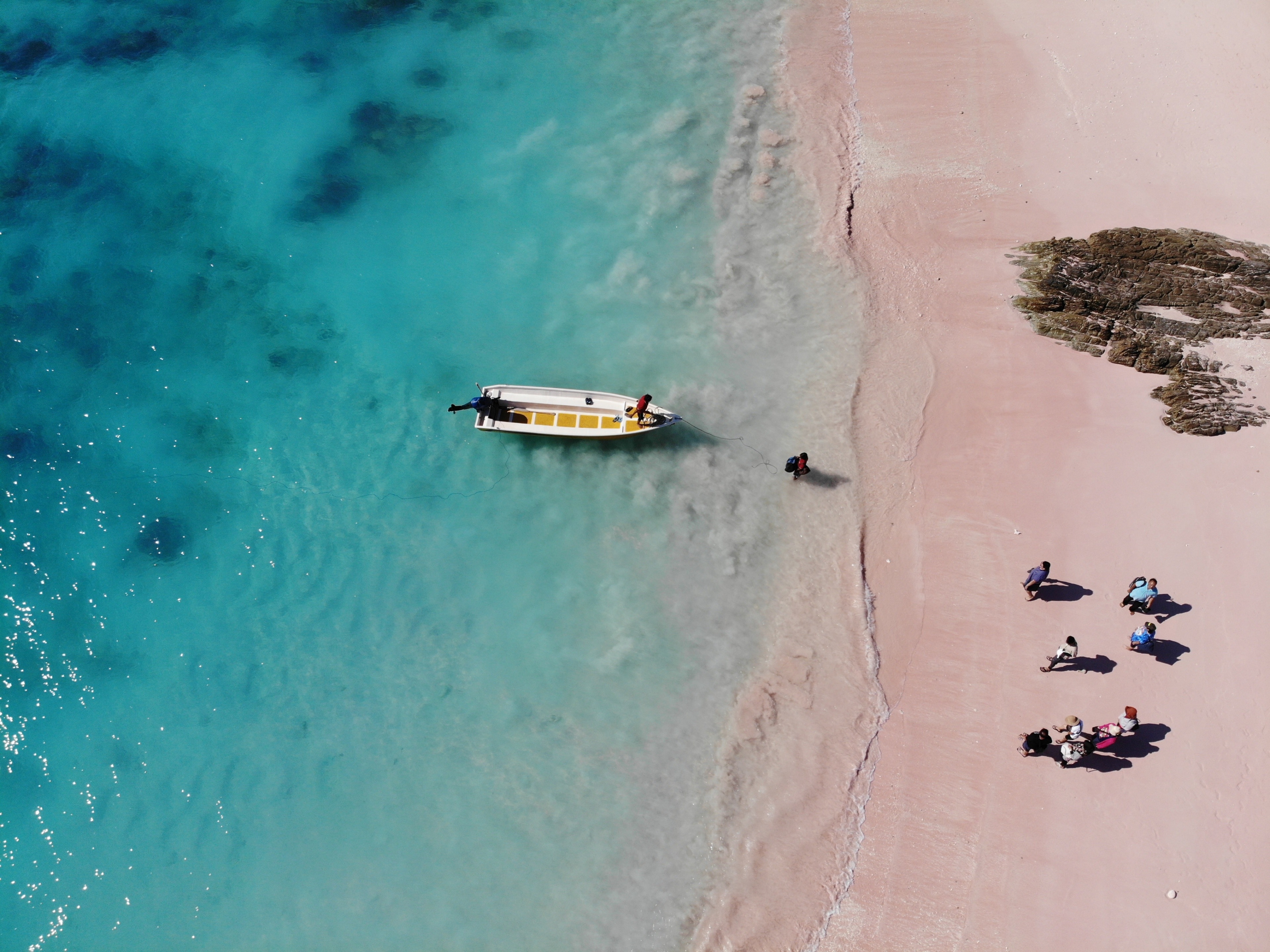 Pink beach from drone view