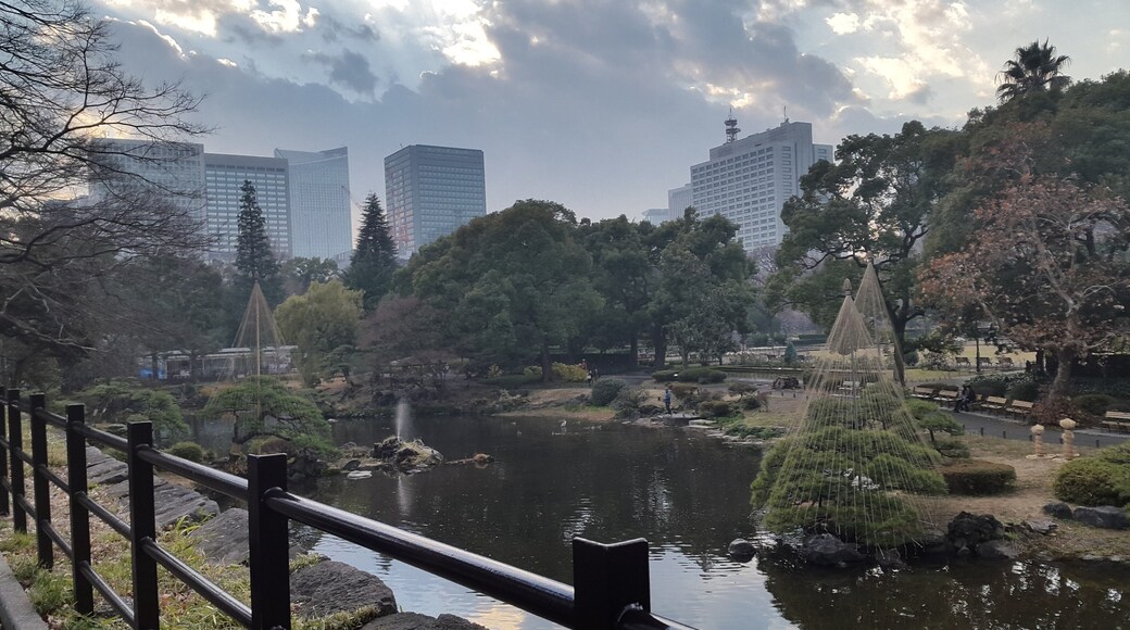 Yoyogi Park, Tokyo, Tokyo Prefecture, Japan