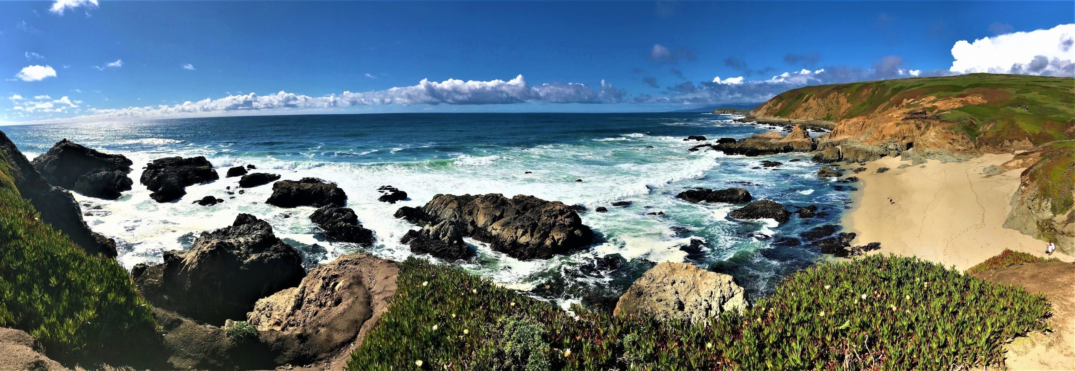 10 TOP Things to Do in Bodega Bay February 2024 Expedia