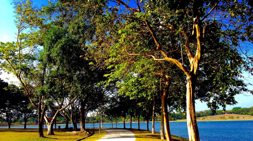 Bedok Reservoir Park, Singapore, Singapore