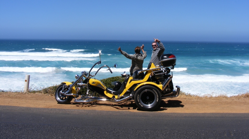Foto av Cape Town Trike Tours