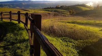 Great view over the hills on my first spring morning. The location is amazing for hiking and birds watching. 
#ontheroad #sanjose #california #spring #warmsun #behindthefence #walkinnature #santateresapark #onthehills#sunrise #goldencolors #goldenhour