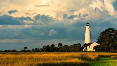 The St. Marks Lighthouse is the second oldest lighthouse in Florida. It was originally built in 1828 and has gone through many reconstruction period including being renovated in 2018. While it is a main attraction, the refuge itself is renown for major bird migrations and for seeing alligators. 