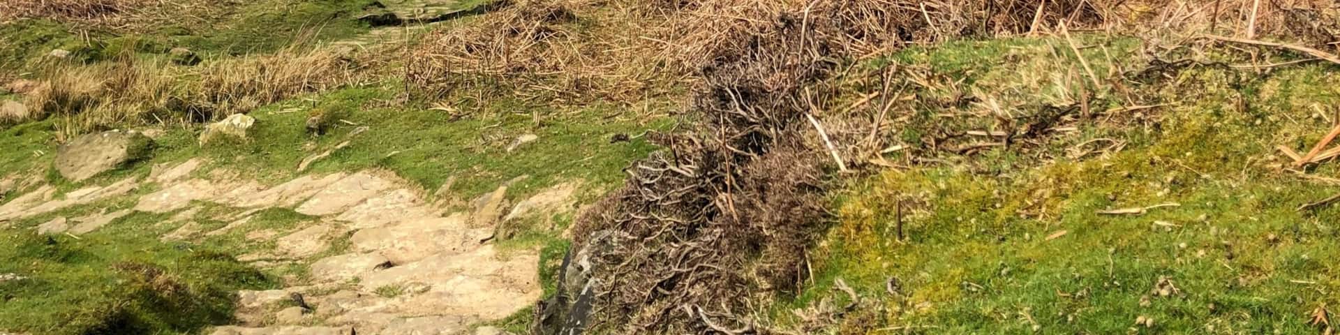This is the view looking down onto is Osmotherly in North Yorkshire. The pin on the map is accurate. It’s a wonderful decent into the valley through woods and reservoirs