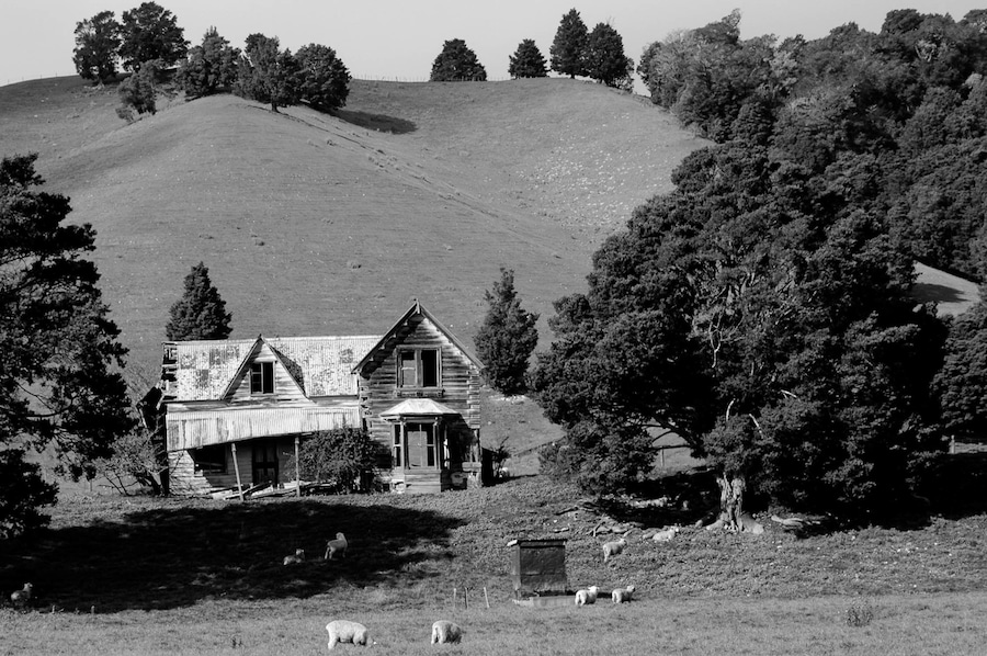 Near Nelson, South Island, New Zealand. Abandoned house. There are a lot of abandoned houses dotted aroudn the New Zealand countryside. Although you don't want to get in trouble for tresspassing, they can be fun to explore.
More photos https://tinyurl.com/y8p6rzrk
#abandoned #NewZealand #Nelson #Decay #Derelict #Nikon #D70 #Black & White #monochrome