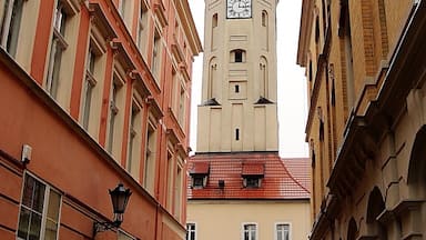 Poland. Zielona Góra . Town Hall