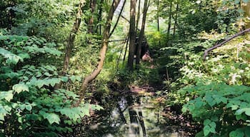 A beautiful park near the river. 