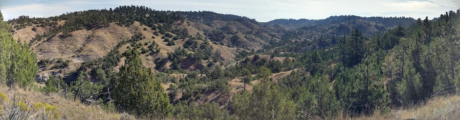 More pictures from previous day hikes in the Burnt Hallow
