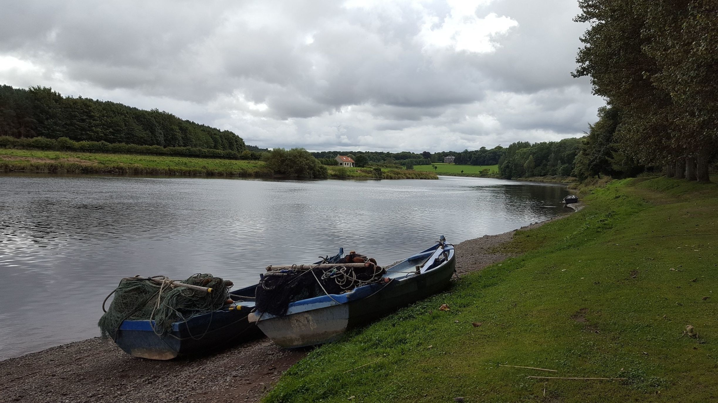 Salmon fishing on the river Tweed, beautiful stretch of river ❤