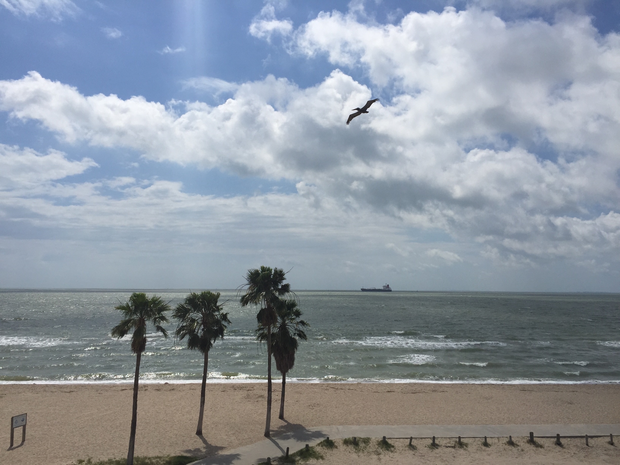 Top 20 North Beach Vacation Rentals With Pool Or Private Pool From 81 