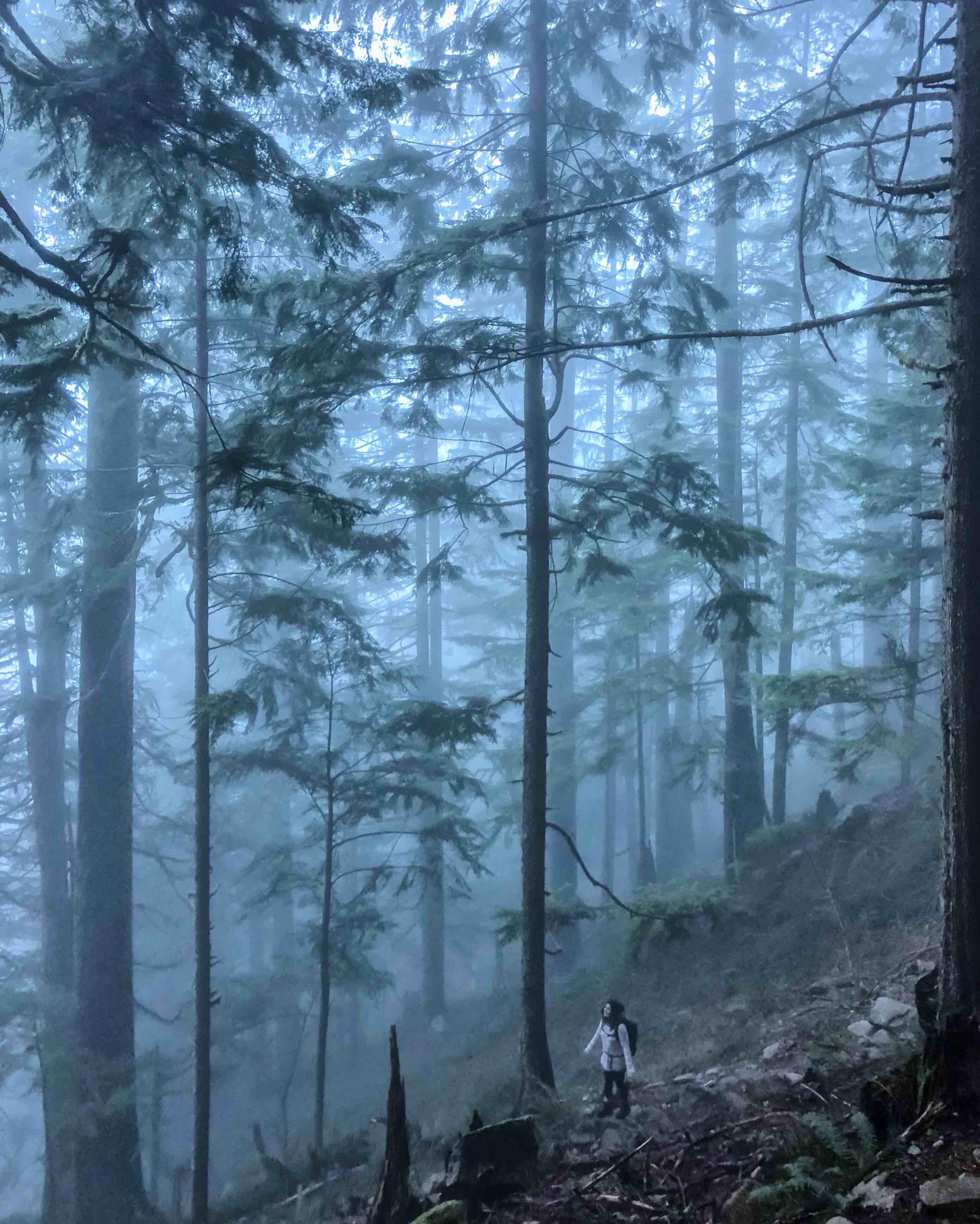 Visit Gold Bar Best of Gold Bar, Washington Travel 2022 Expedia Tourism