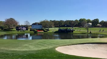 Spending the day watching the 'pros' play here at Bay Hill. It's a beautiful course and an equally beautiful sunny day! 