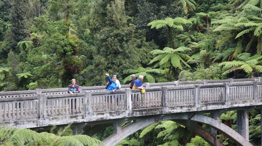 Bridge to Nowhere, Whanganui National Park, Manawatū-Whanganui, New Zealand
