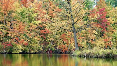 This area has beautiful fall foliage along the water.