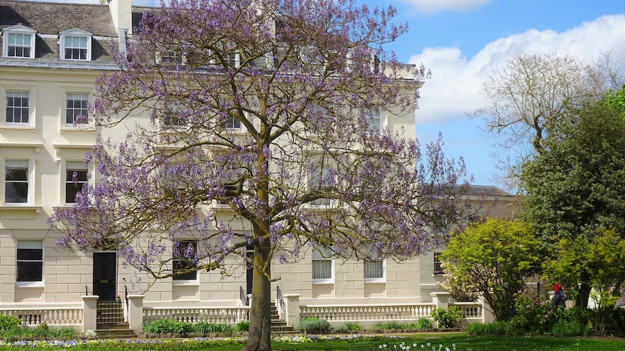 Dane John Gardens