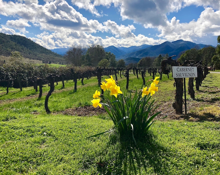 Just beautiful. I think I could spend all day here just watching the clouds as they drift over the Siskiyou Mountains! #mountains