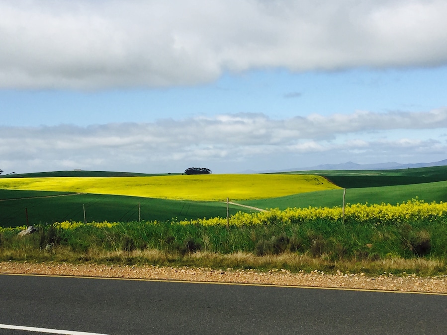 Garden Route, SA
