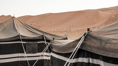 Some of the #traditional tents at 1000 Nights Camp in Sharqiya Sands, #Oman 🇴🇲 have air conditioning, which is a very welcome addition!
#LifeAtExpedia