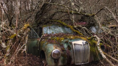 #abandoned #decay #rust #Båstnäs