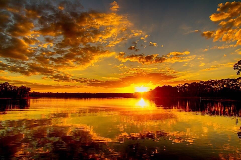 Photo by Tress Chapin