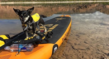 Paddling Kens Lake