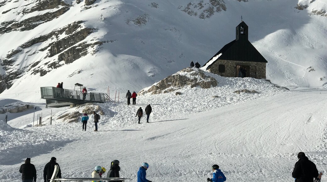 Photo by Tess Pajaron