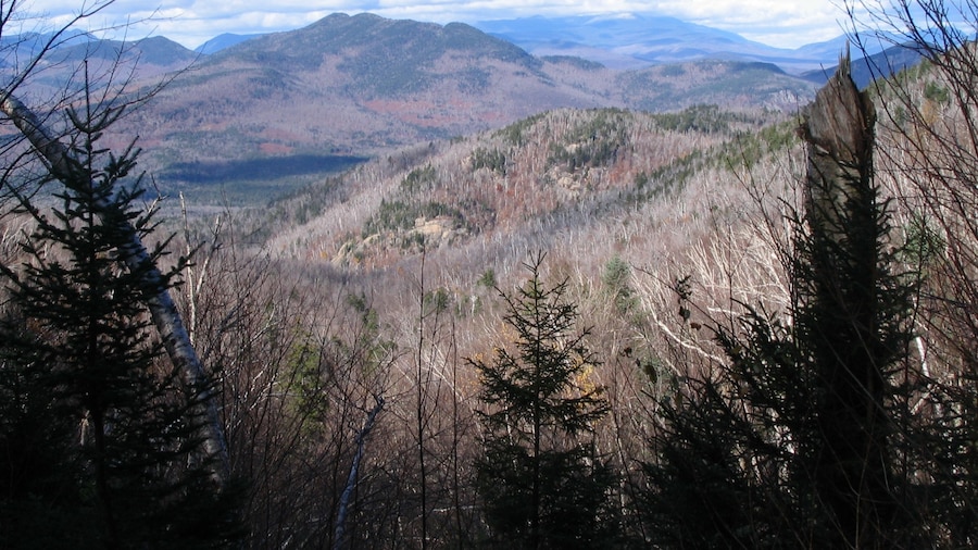 Mount Chocorua Scenic Area