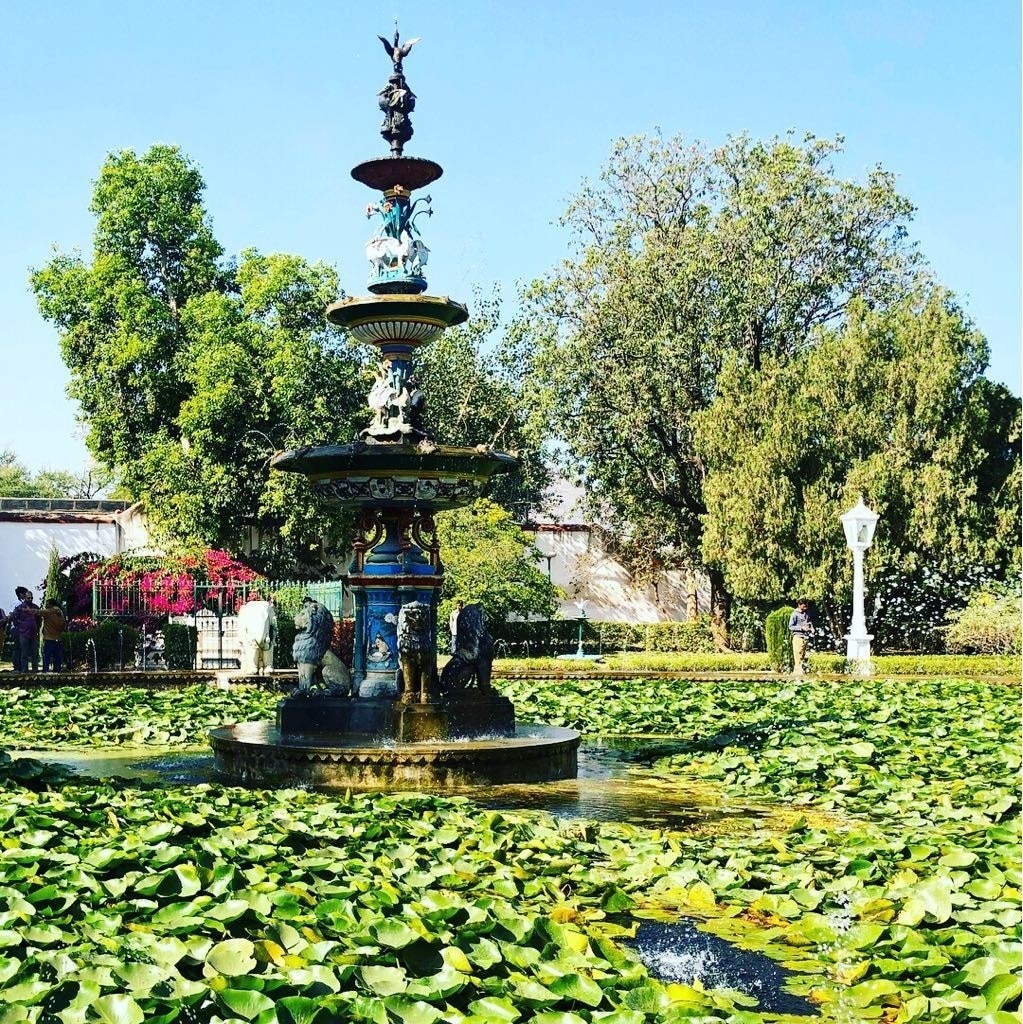 Built over 2 centuries ago, this pond garden used to be where the princesses of Rajasthan and her girlfriends would hang out

#LifeAtExpedia