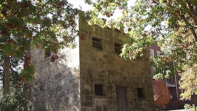 In 1807, the Superior Court of Greene County recommended that a substantial jail be built. The "rock gaol" is the product of that request. Built of granite from a local quarry, the walls are 2 feet thick. It is the oldest standing masonry jail in Georgia.