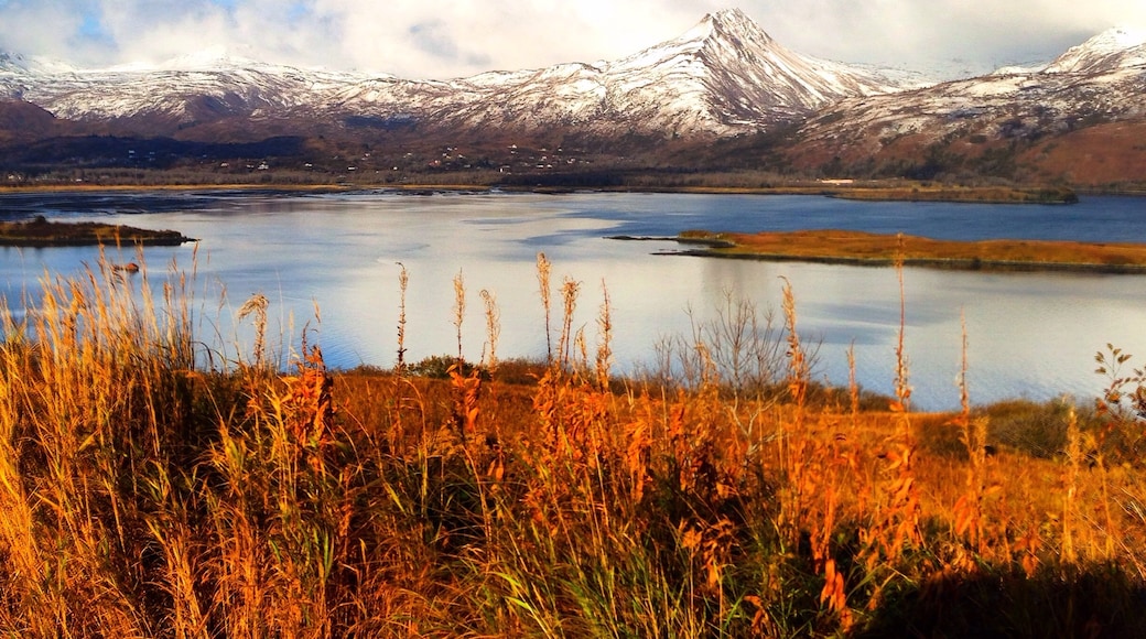 Suaka Margasatwa Nasional Kodiak, Alaska, Amerika Serikat