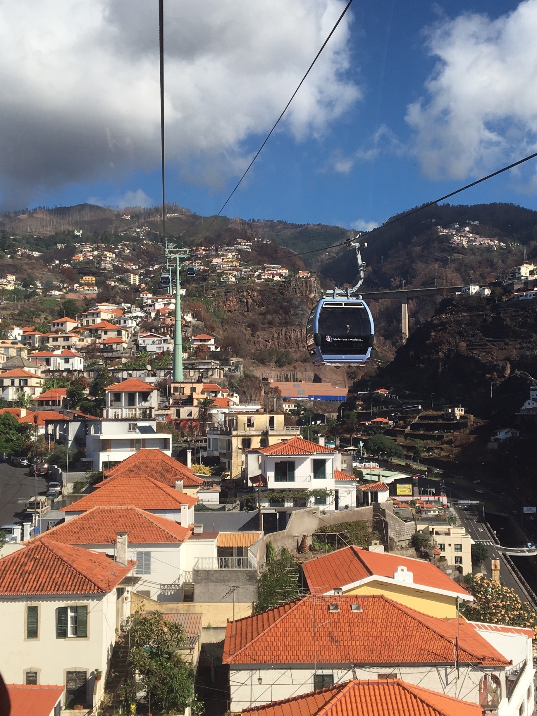 Santa Luzia, Funchal, Madeira Region, Portugal