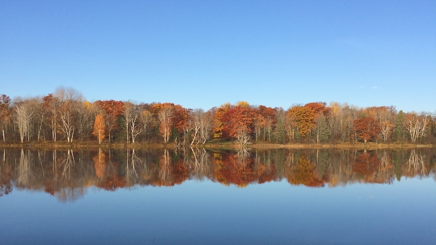 Badger Lake