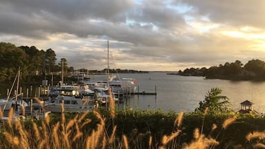 Evenings on Carter's Creek