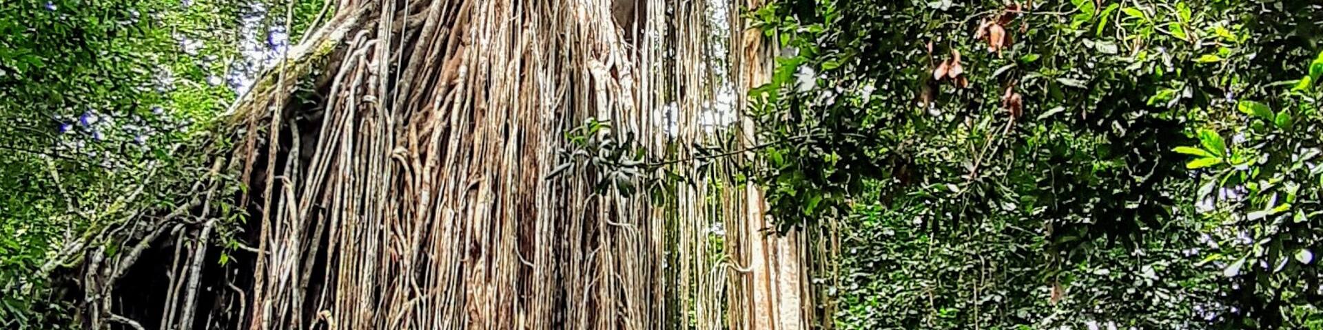 東巴倫, 昆士蘭, 澳洲