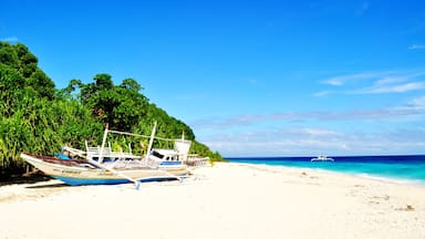 Balicasag Island, The Philippines. 