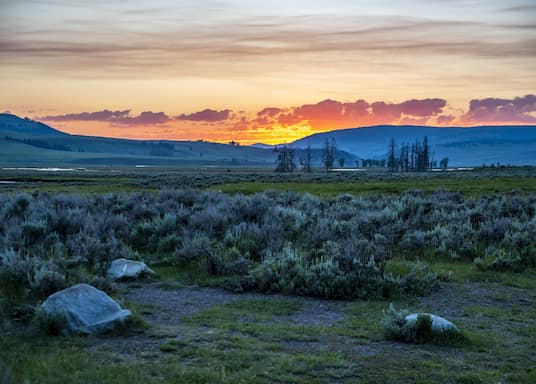 Parque Nacional Yellowstone, Wyoming, Estados Unidos