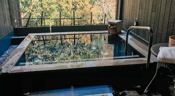 If you visit Japan, you HAVE to have an onsen experience! I recommend hopping the train from Tokyo to Hakone to visit Hakone Yuryo. You can book a private onsen room like this one for a couple hours to enjoy all to yourself! Things to know:

-No clothing/swimwear is allowed in the onsen. Nude only! If you don’t book a private room, you will be sharing a gender-specific group one.

-Reservations at Hakone Yuryo open 30 days in advance. The website says to book by calling. I emailed and was able to complete my reservation through email.

-If you are walking from the Tonosawa train station, you will come to a fork in the path. Stay uphill! I made the mistake of going alllll the way down the hill with my luggage just to climb back up again. Directions are not extremely clear.

-When I visited, there was no English on the outside of the building. So don’t be looking for “Hakone Yuryo.”

-Heads up: tattoos are not allowed in the onsen. Japan has a very conservative attitude toward tattoos