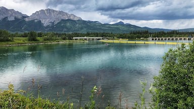 The Bow River near Seebe, Alberta. (July 2019)

#Nature #MyBackyard #Trovember