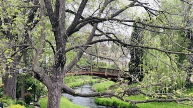 On the road through the state of Wisconsin, it is imposible no to wander through little sleepy towns, full of lovely creeks, trees and everything green during spring and summer. #Nature Photo Contest